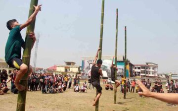 Naga greased pole climbing